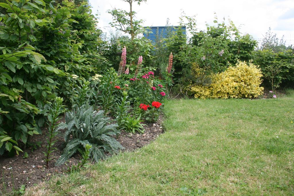 Red House Farm Accommodation Tivetshall Saint Margaret Exterior photo